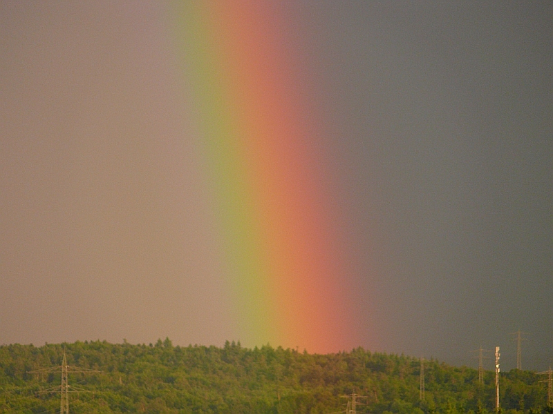Regenbogenfu 11.07.2008