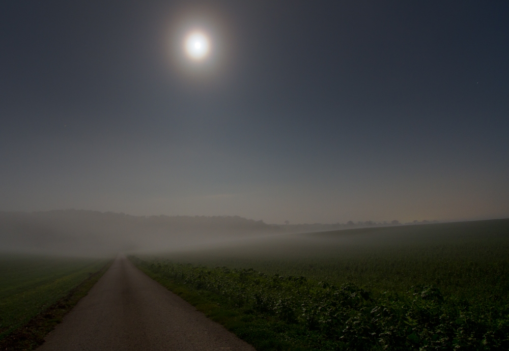 Mondkranz und Nebelstimmung | 06.11.2014
