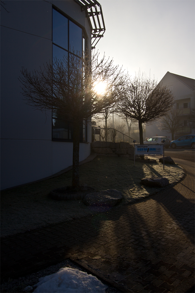 Halophnomen in Eisnebel | 13.02.2015