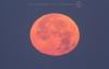 grner und roter Saum am Mond | 30.11.2020