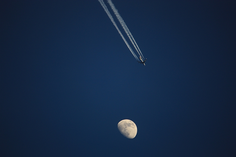 Mond mit Begleitung 24.02.2010