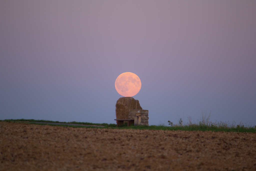 aufgehender Mond | 29.08.2015