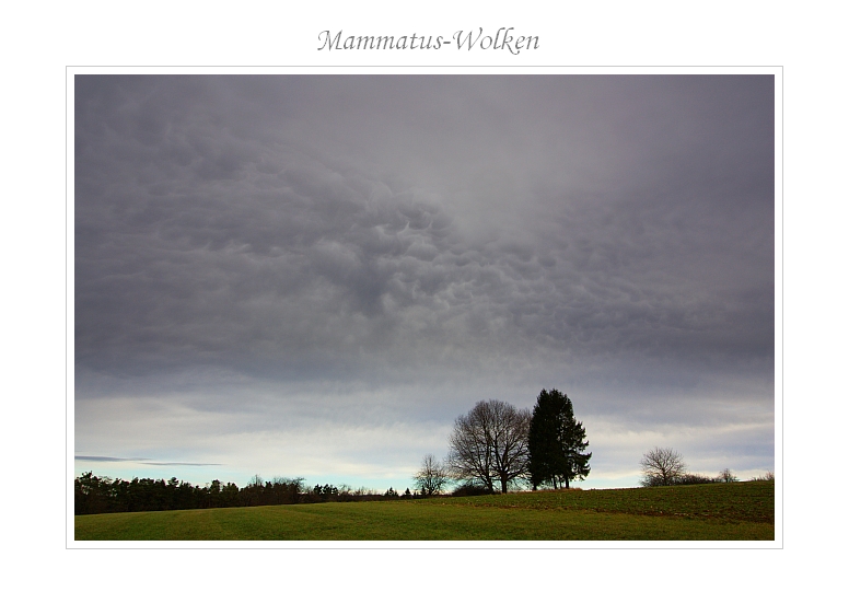 Cumulus - Mammatus 03.01.2012