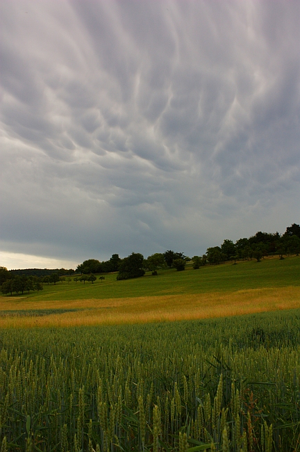 Cumulus mammatus 05.06.2011