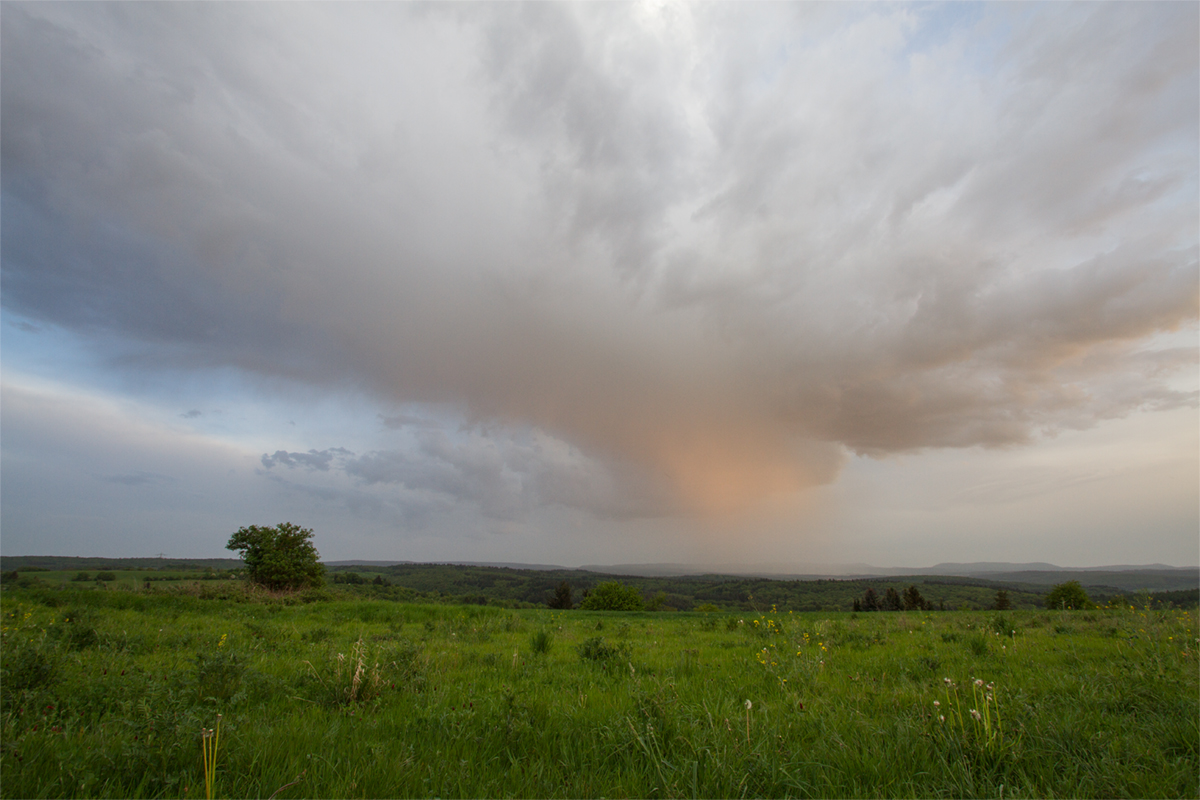 Regenschauer | 29.04.2018