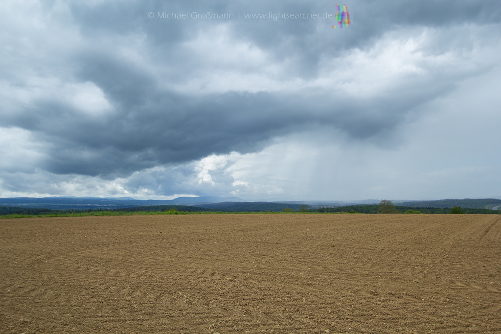 Regenschauer | 29.04.2020