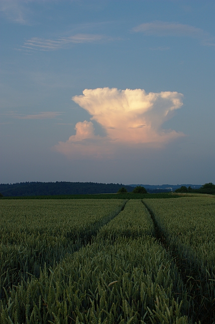 Cumulonimbus 03.07.2010