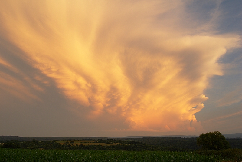 Cumulonimbus 11.07.2010