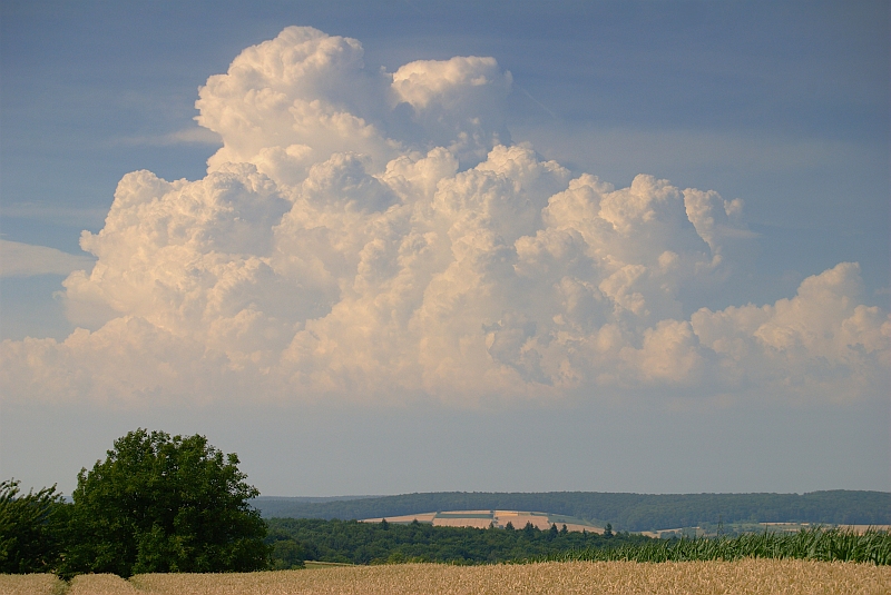 Cumulus Congestus 12.07.2010