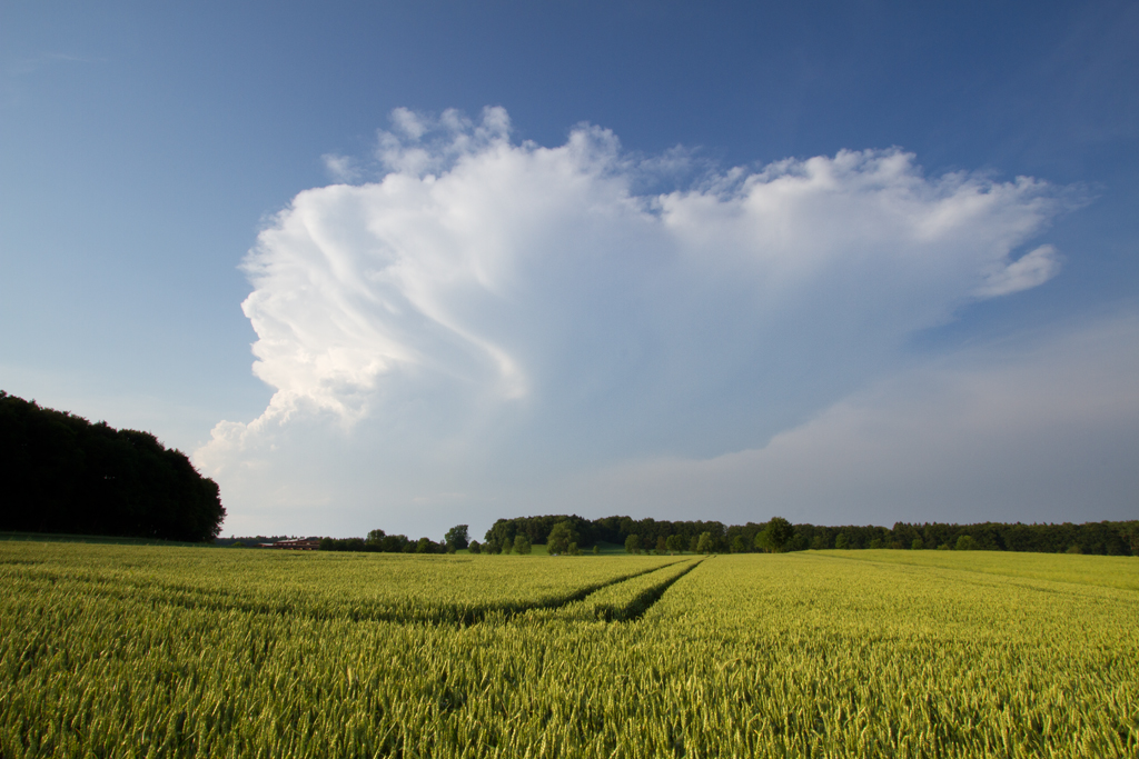 Cumulonimbus | 22.06.2017