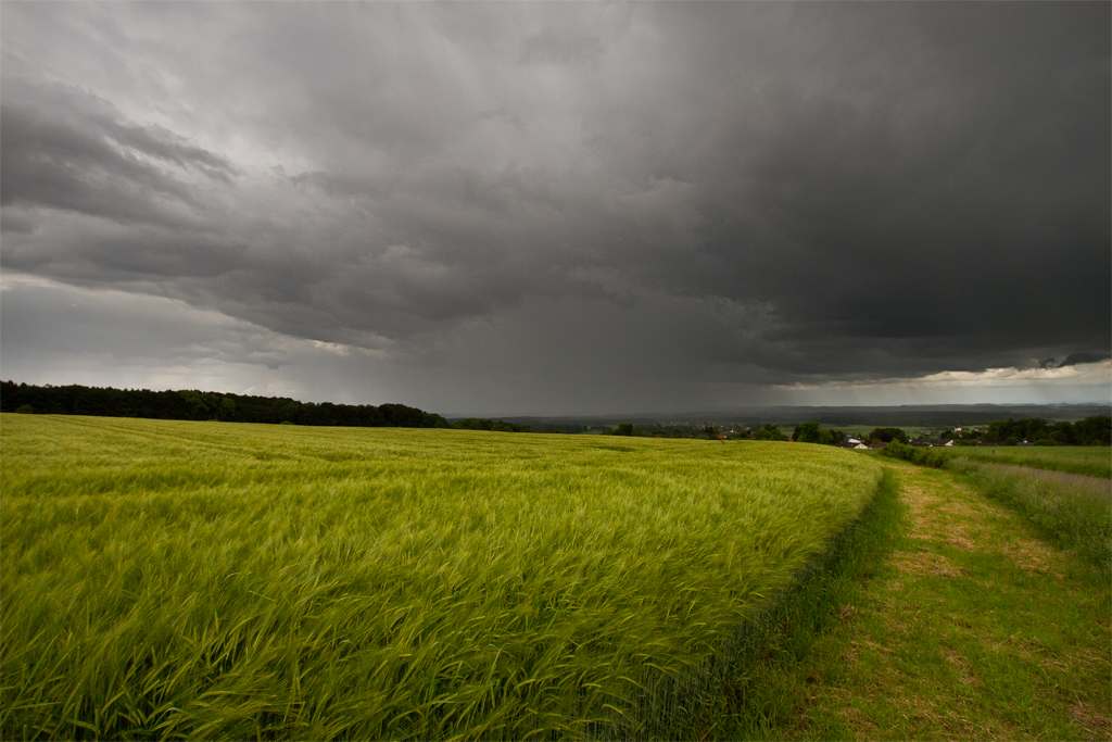 Regenschauer | 04.06.2016