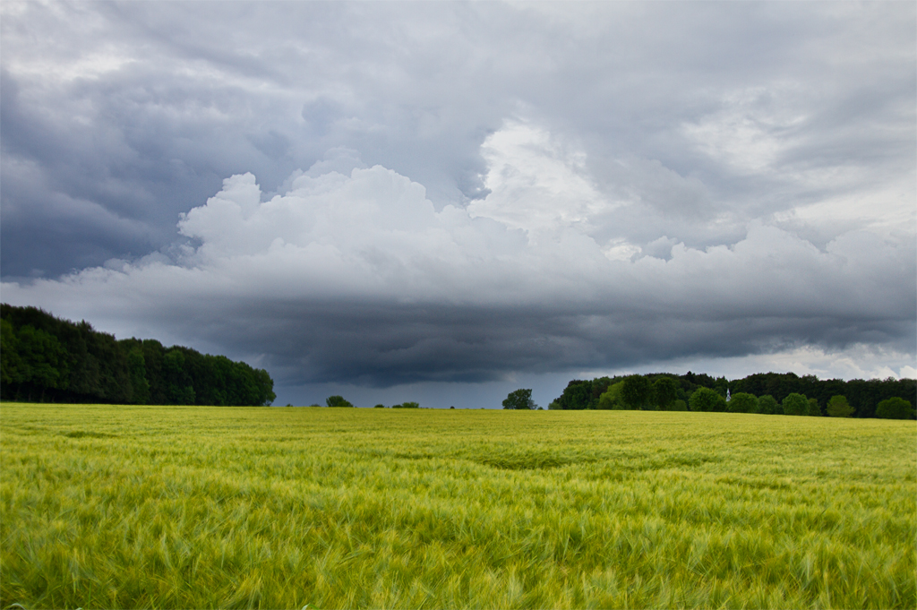 Regenschauer | 05.06.2016