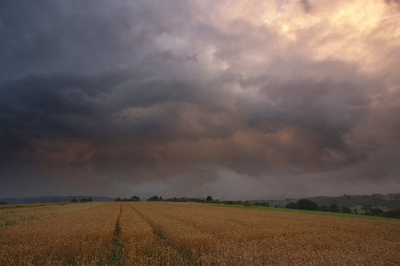 Regenschauer 10.07.2011