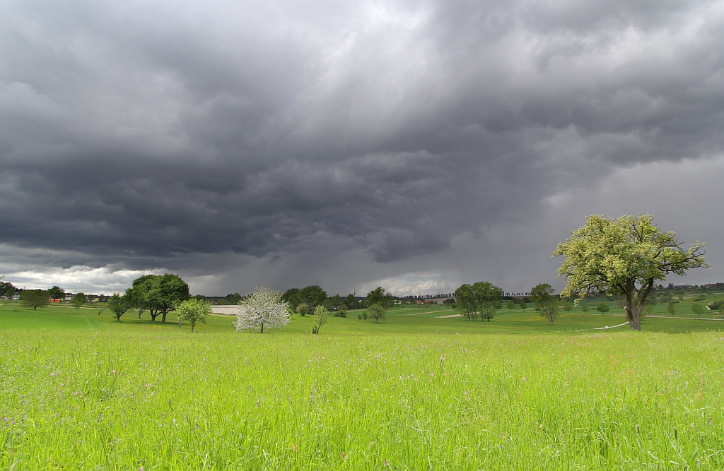 Regenschauer 11.05.2013