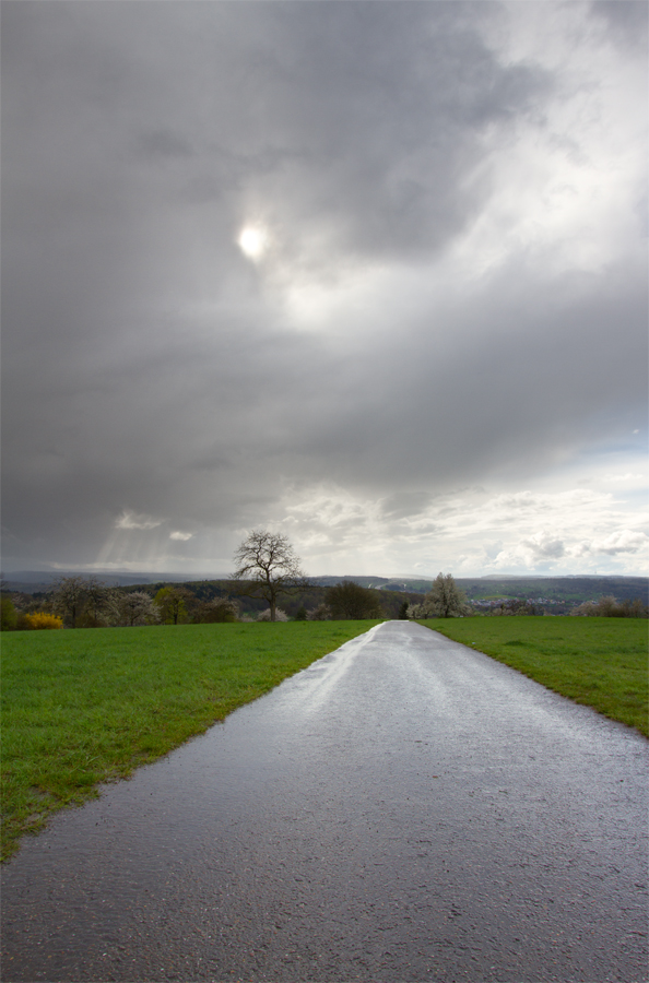 Regenschauer | 13.04.2016