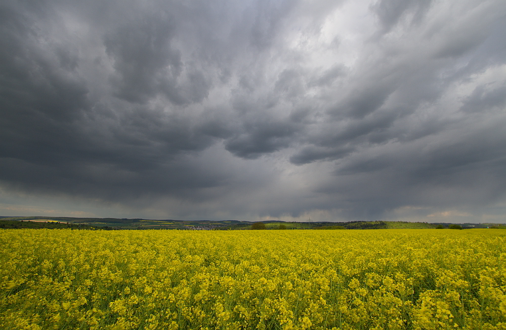 Regenschauer 14.04.2014