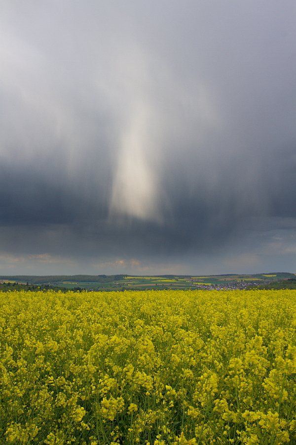 Regenschauer 14.04.2014