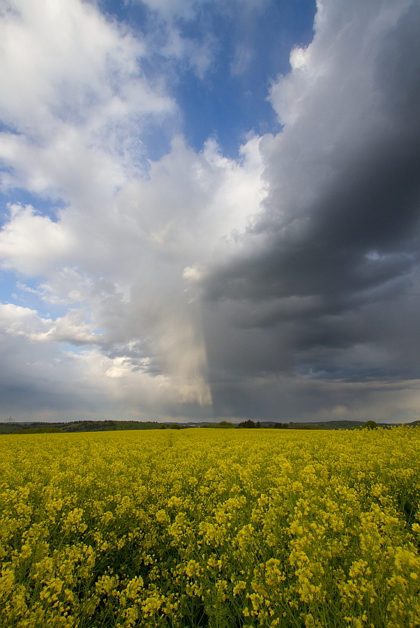 Regenschauer 14.04.2014