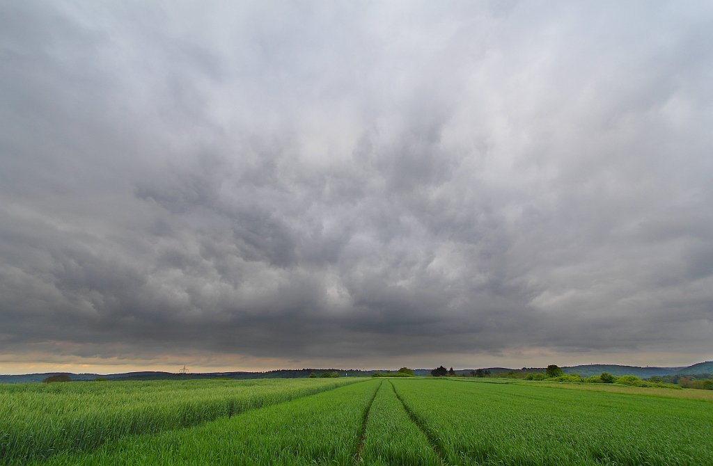 Regenschauer 17.05.2013