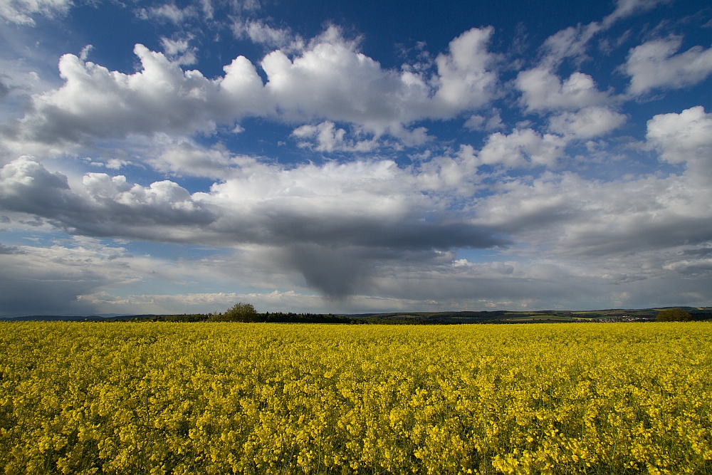 Regenschauer 18.04.2014