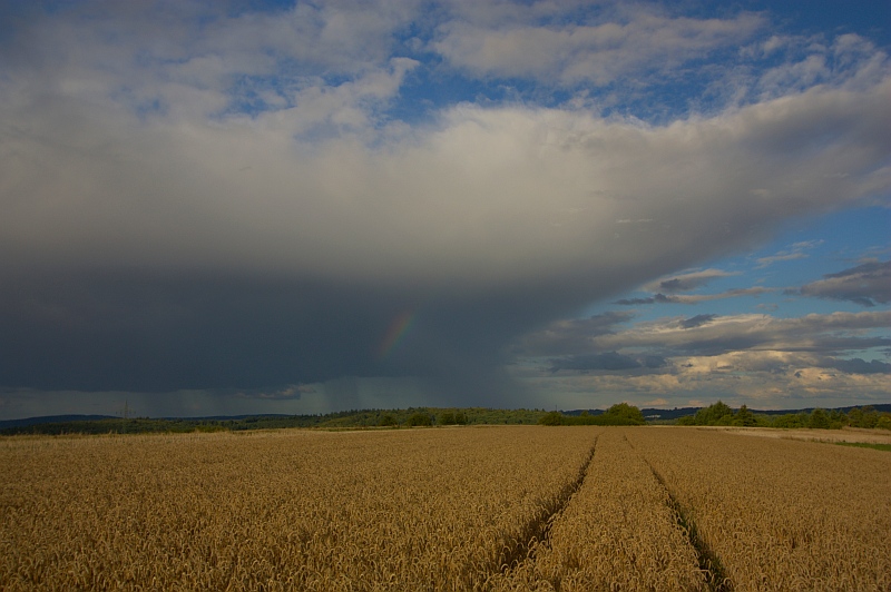 Regenschauer 18.07.2011