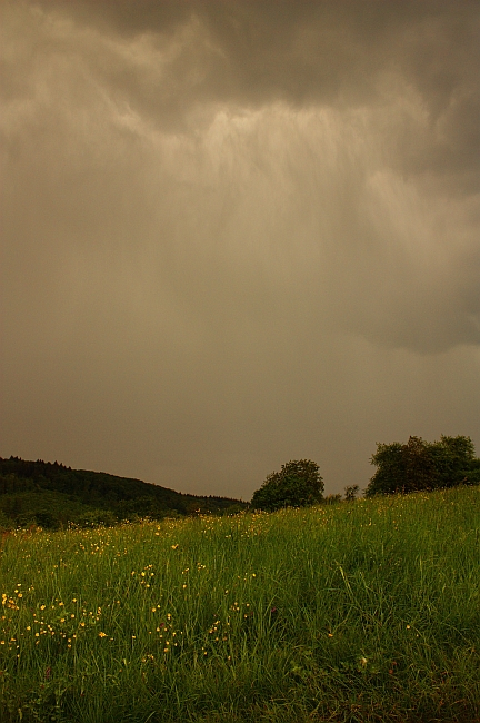 Regenschauer 29.04.2011