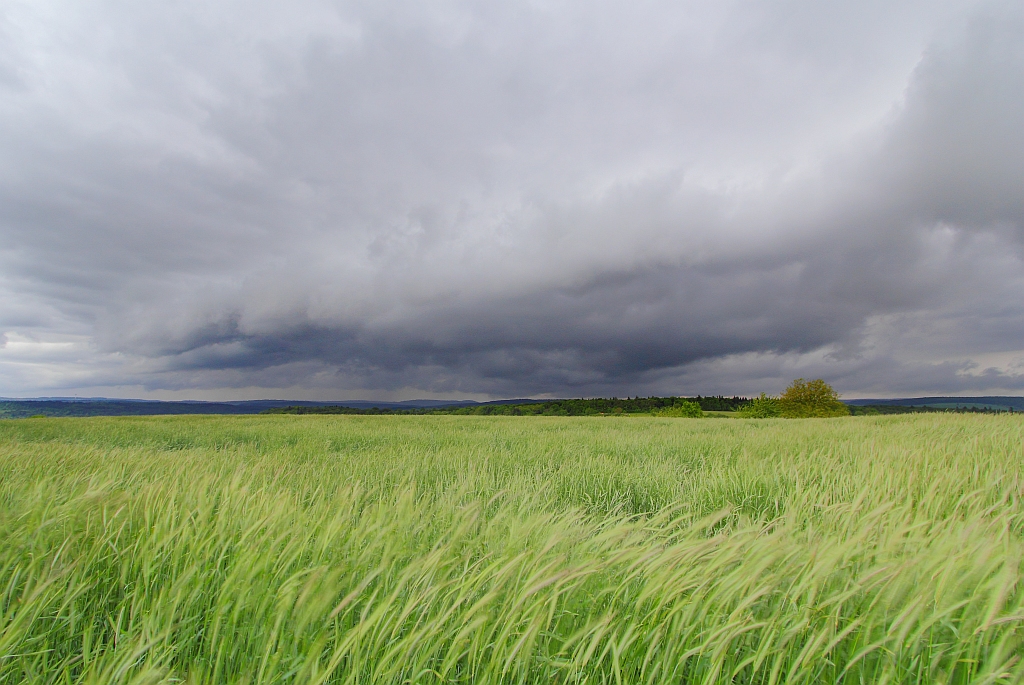 Regenschauer 29.05.2013