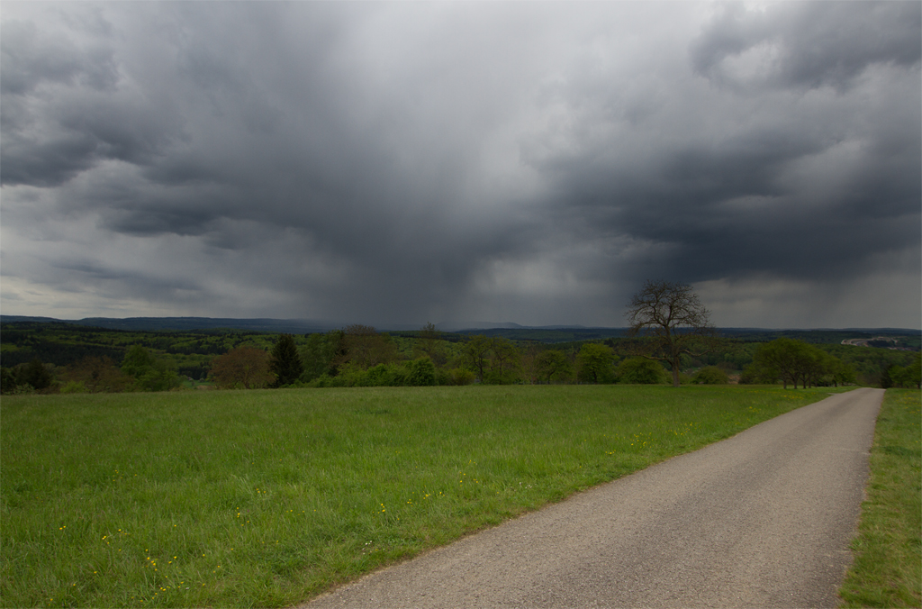 Regenschauer | 30.04.2015