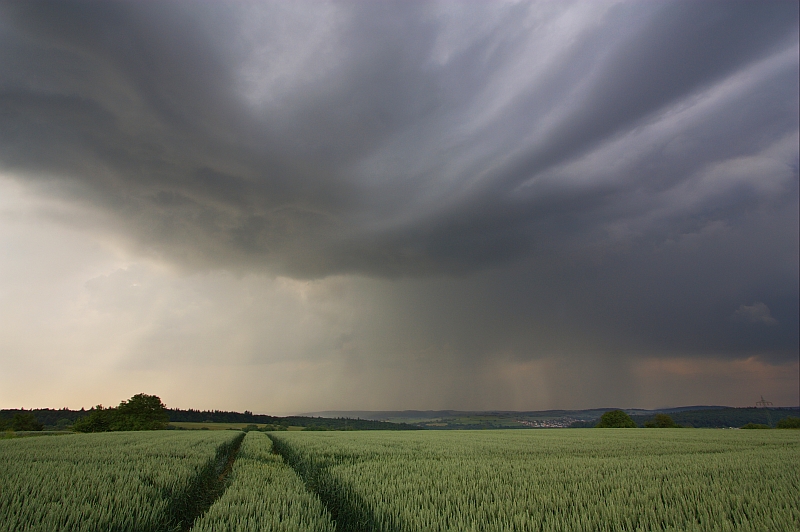 Regenschauer 30.05.2012