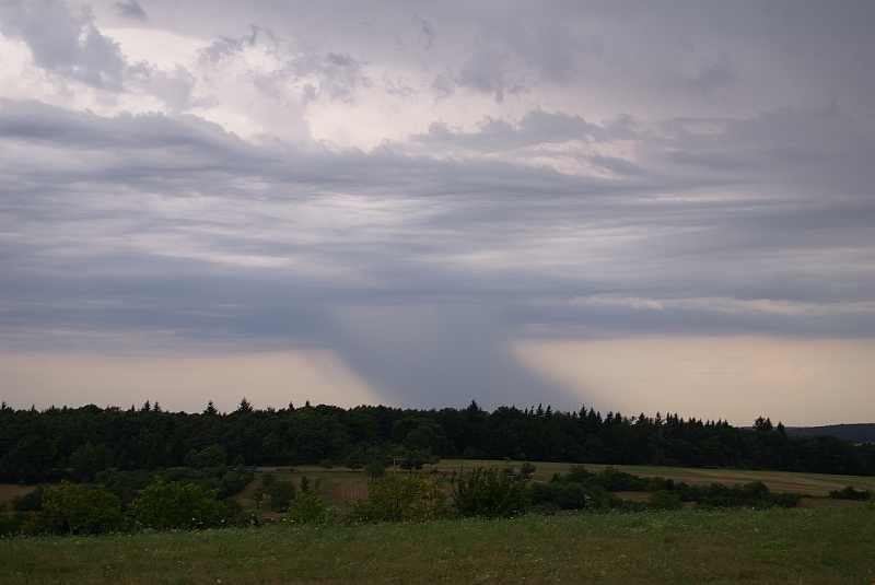 Fallstreifen 12.07.2010