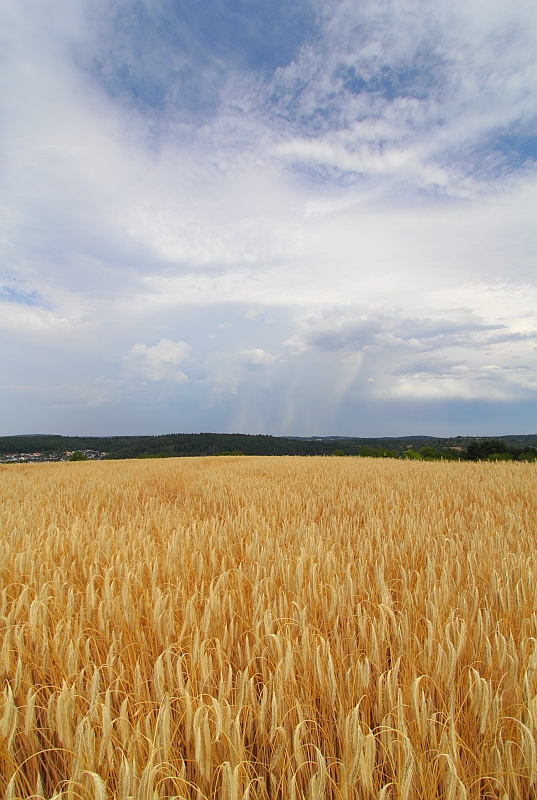 Gewitterfront 26.07.2013