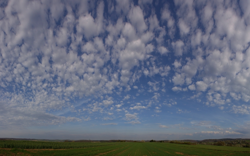 Altocumulus Wolken 03.04.2011
