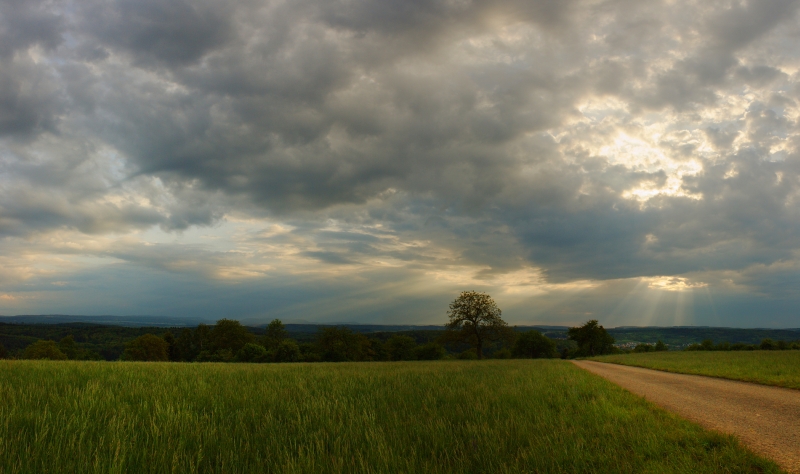 Funnelcloud 30.04.2011