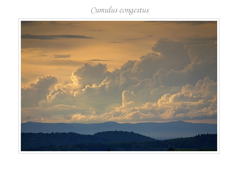 Cumulus congestus 05.05.2012