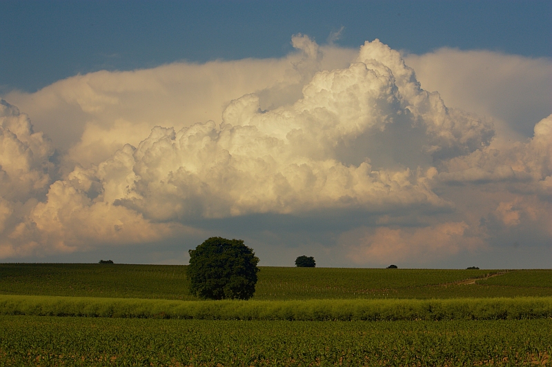 Cumulus congestus 21.05.2011