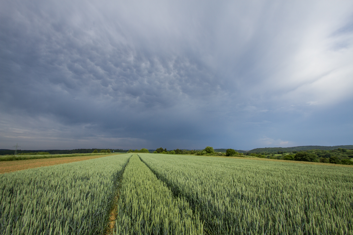 Mammatus Wolken | 29.05.2018