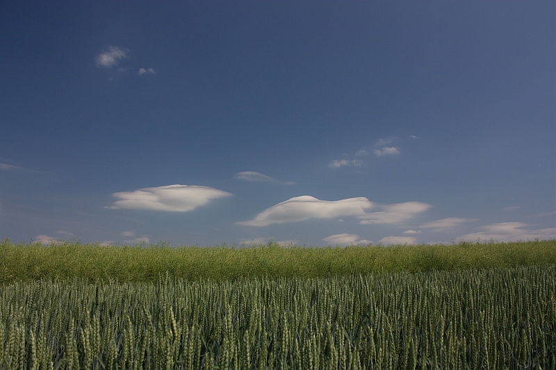 Lenticularis 02.06.2011