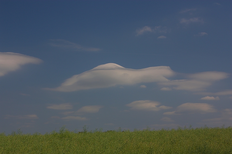 Lenticularis 02.06.2011