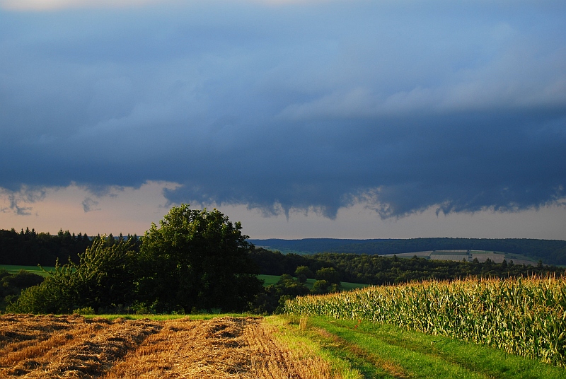 Funnel 12.08.2010