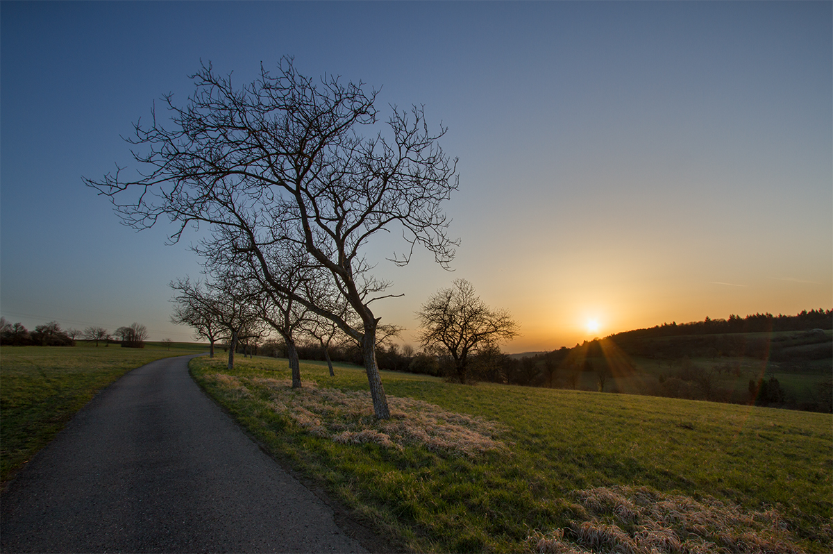 Bishopscher Ring | 07.04.2018