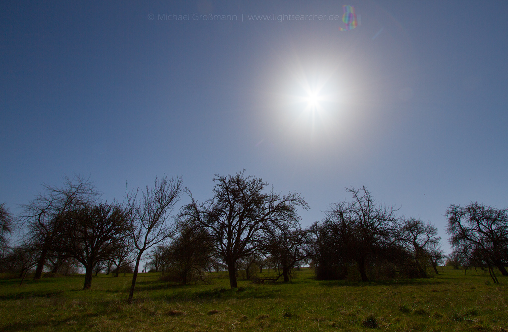 Bishopscher Ring | 28.03.2020