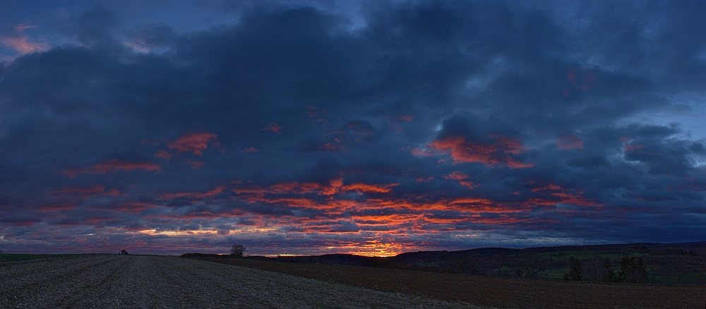 Morgenrot 13.11.2010