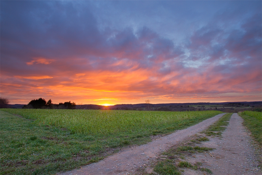 Morgenrot | 25.01.2018