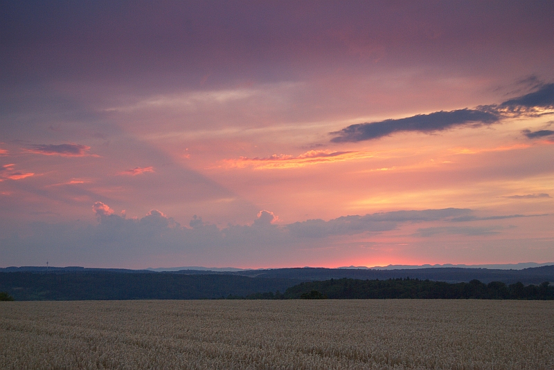 Abendrot 01.08.2010