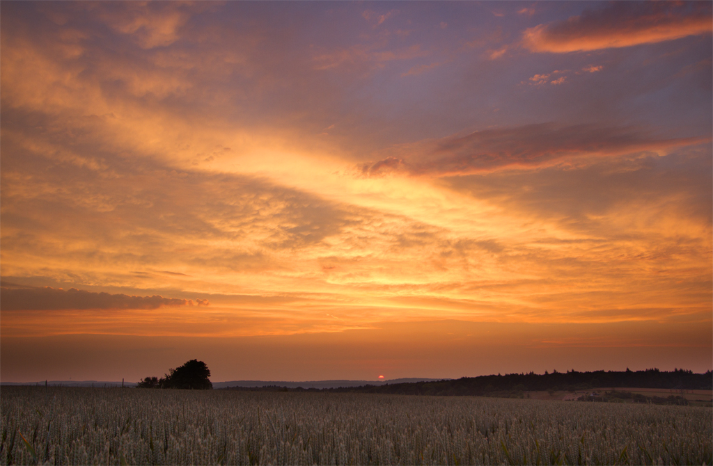 Abendrot | 06.06.2015