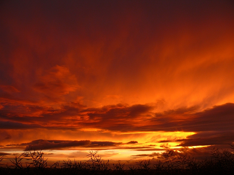 Abendrot 10.06.2008