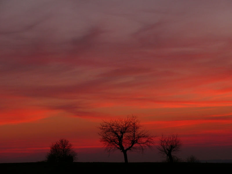 Abendrot 23.03.2011