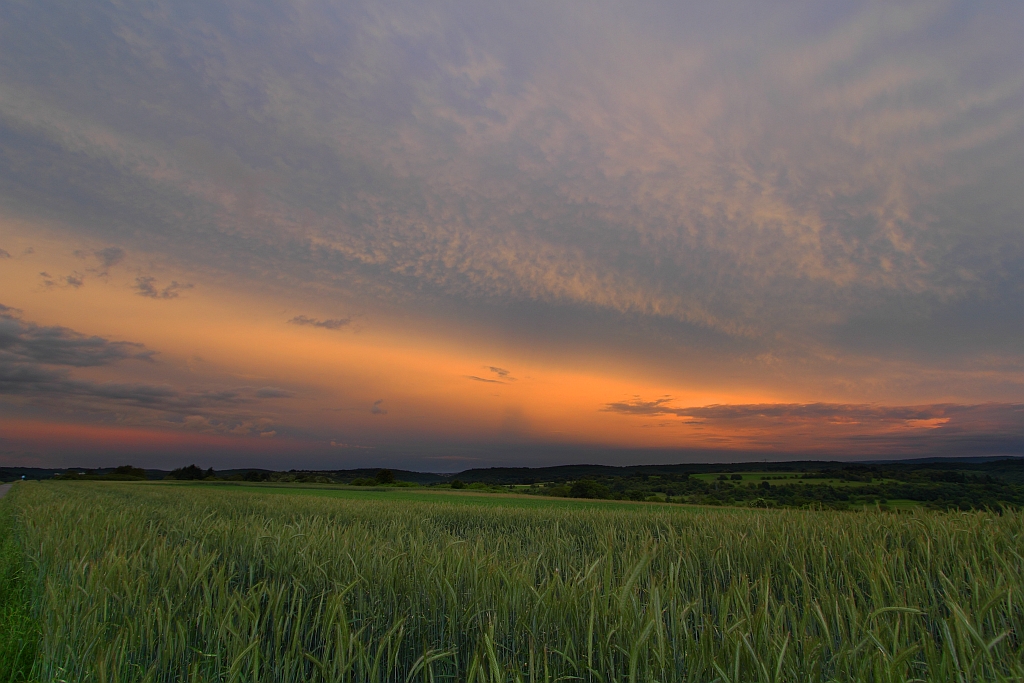 Gegendmmerung 10.06.2013