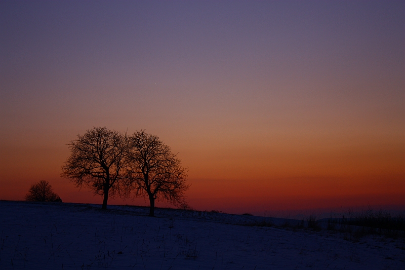 Dmmerung 08.03.2010