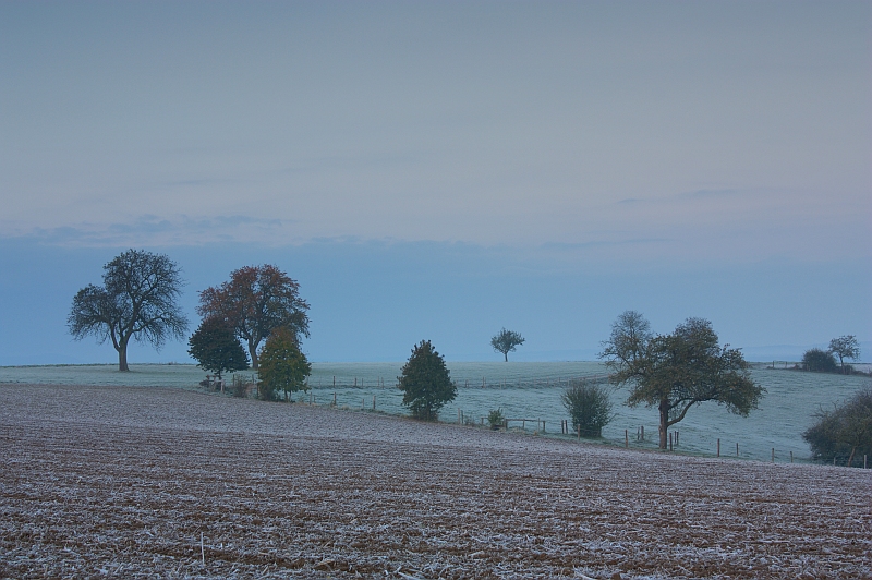 Dmmerung 23.10.2010